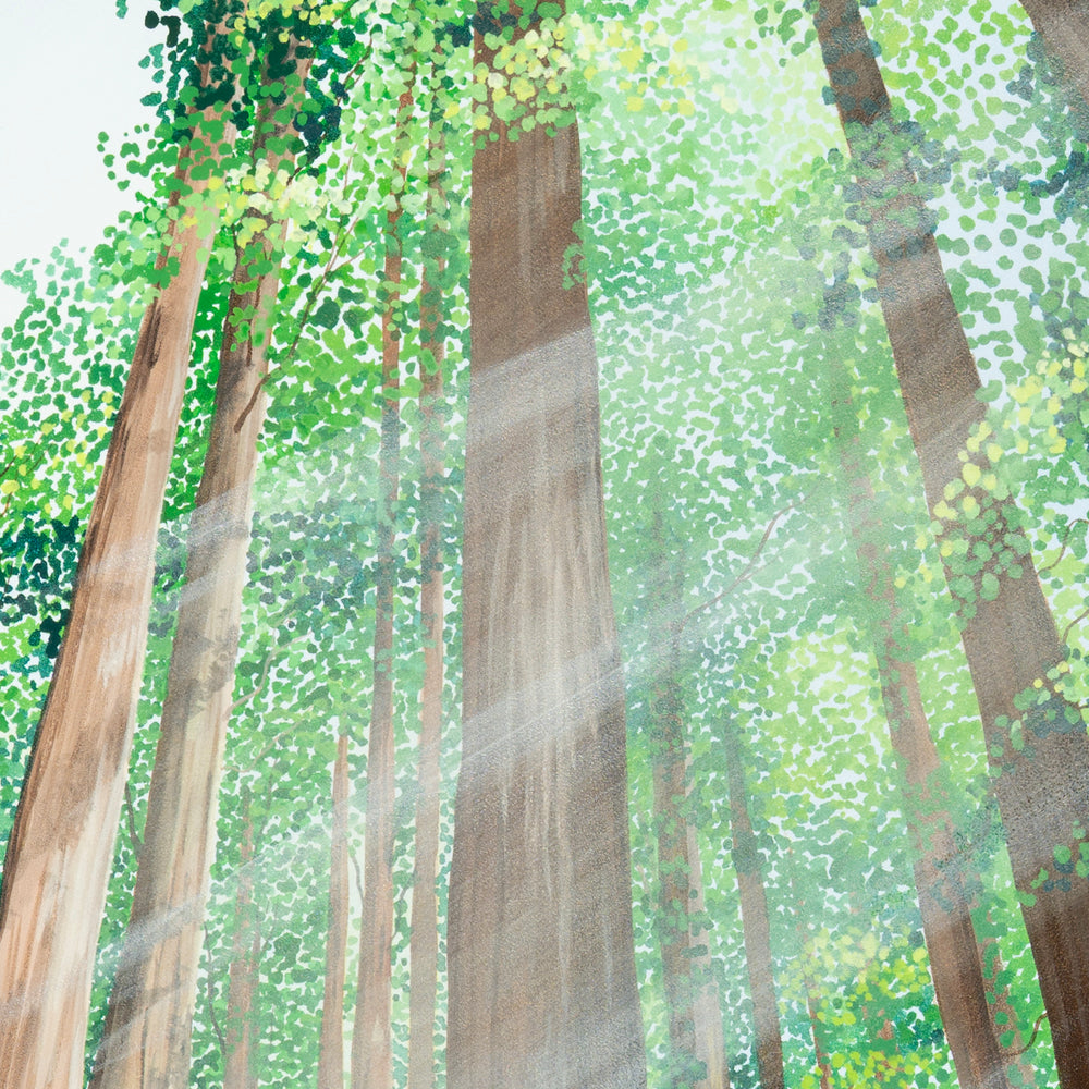 Light Breaks Through