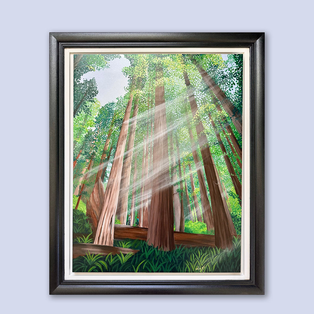 Light Breaks Through
