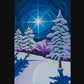 Behold The Star
